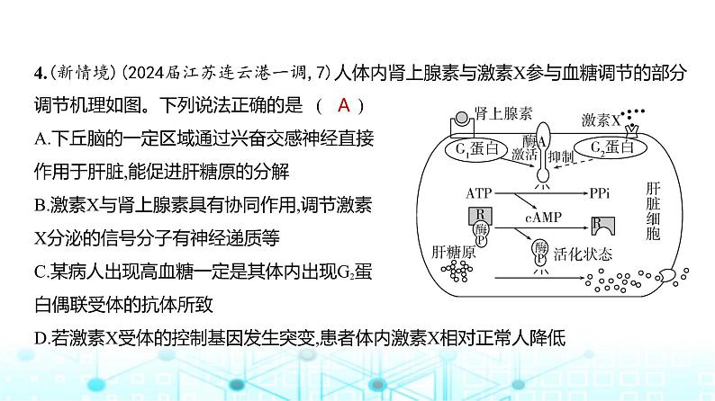 新高考生物总复习选择性必修1稳态与调节阶段检测练练习课件第5页