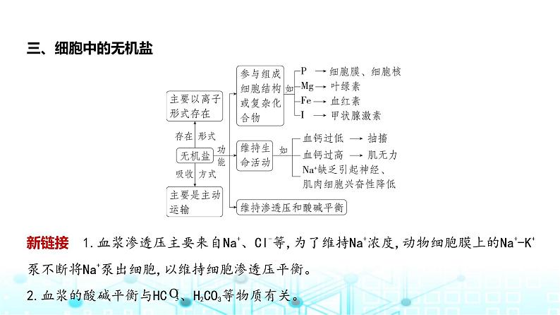 新高考生物总复习专题1细胞的分子组成教学课件第4页