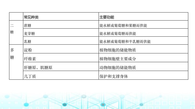 新高考生物总复习专题1细胞的分子组成教学课件第6页