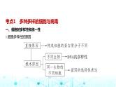 新高考生物总复习专题2细胞的结构与功能教学课件