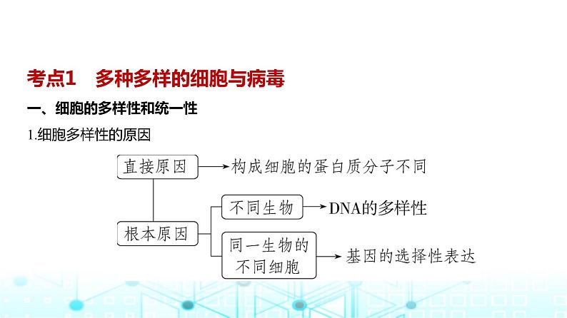 新高考生物总复习专题2细胞的结构与功能教学课件02