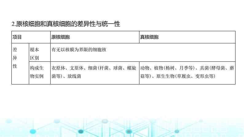 新高考生物总复习专题2细胞的结构与功能教学课件第3页