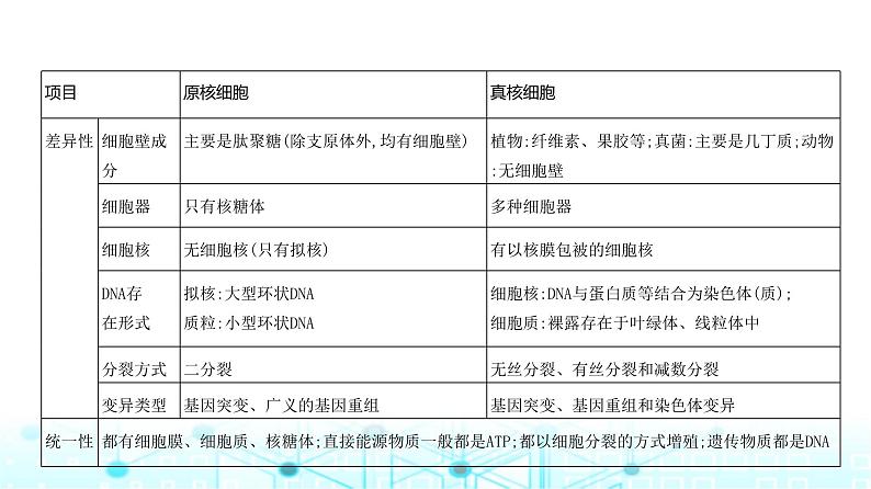 新高考生物总复习专题2细胞的结构与功能教学课件04