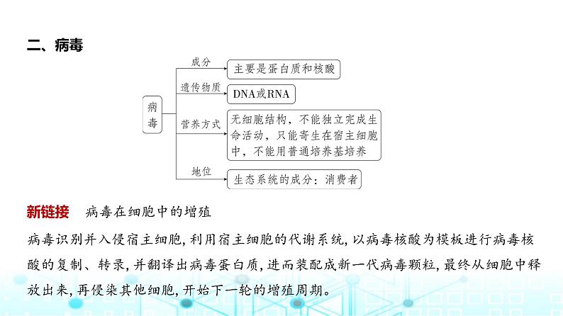 新高考生物总复习专题2细胞的结构与功能教学课件第7页