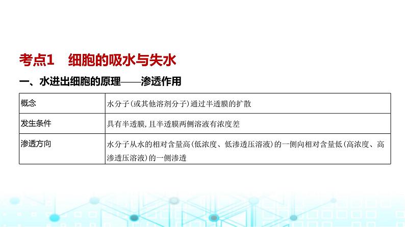 新高考生物总复习专题3细胞的物质输入与输出教学课件02