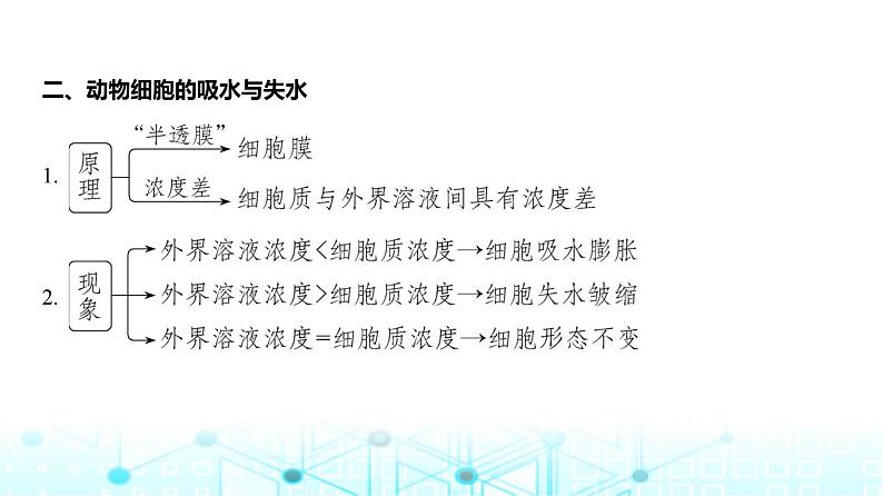 新高考生物总复习专题3细胞的物质输入与输出教学课件04