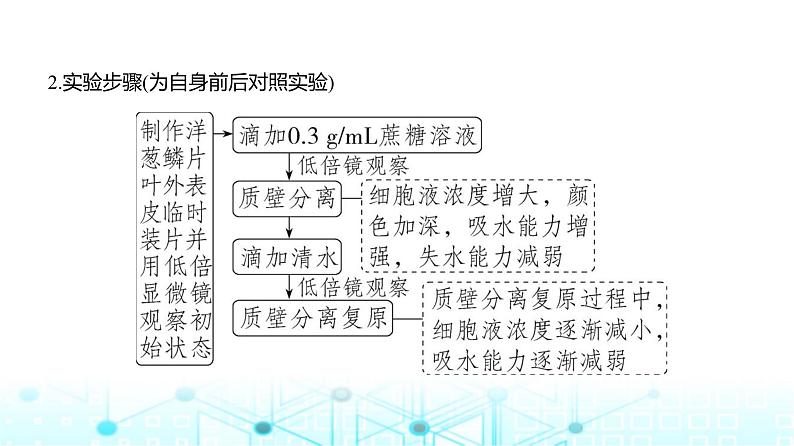 新高考生物总复习专题3细胞的物质输入与输出教学课件06