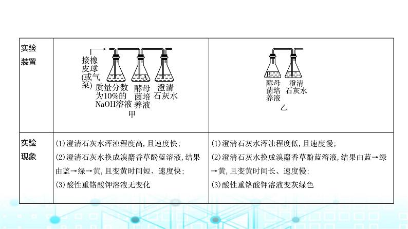 新高考生物总复习专题5细胞呼吸教学课件03