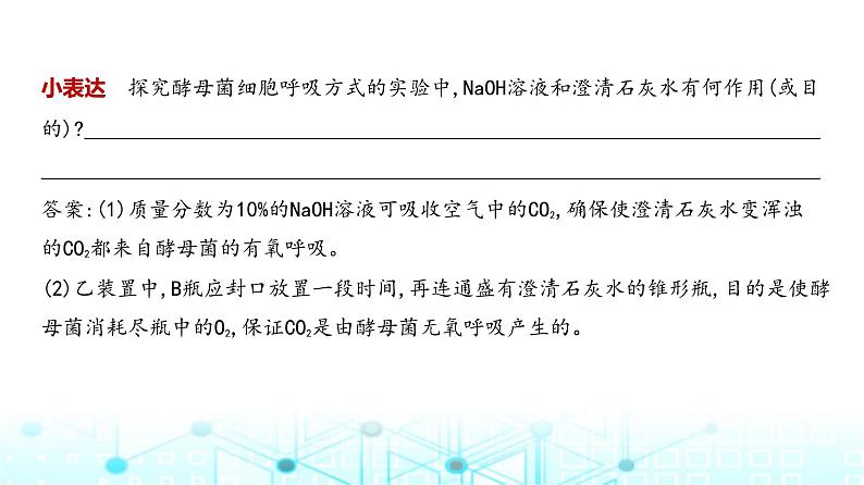 新高考生物总复习专题5细胞呼吸教学课件04