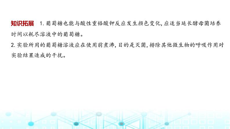 新高考生物总复习专题5细胞呼吸教学课件05