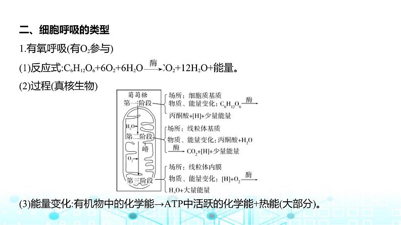 新高考生物总复习专题5细胞呼吸教学课件06