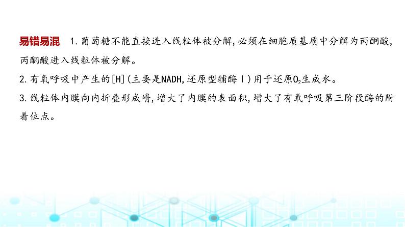 新高考生物总复习专题5细胞呼吸教学课件07