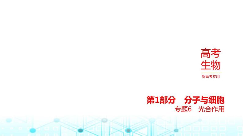 新高考生物总复习专题6光合作用教学课件第1页