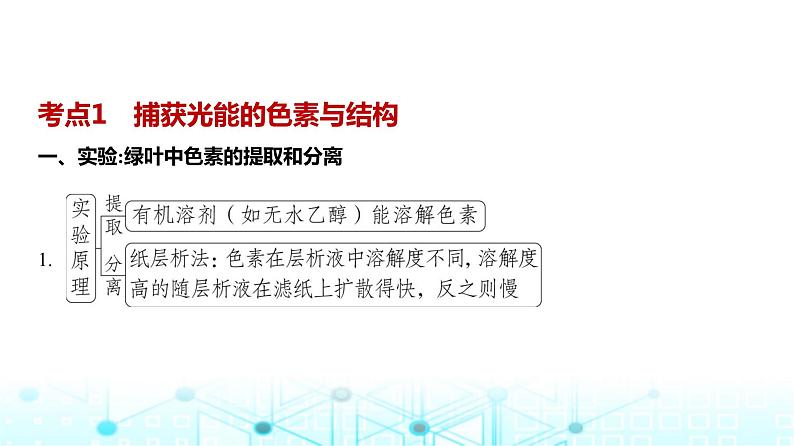 新高考生物总复习专题6光合作用教学课件第2页