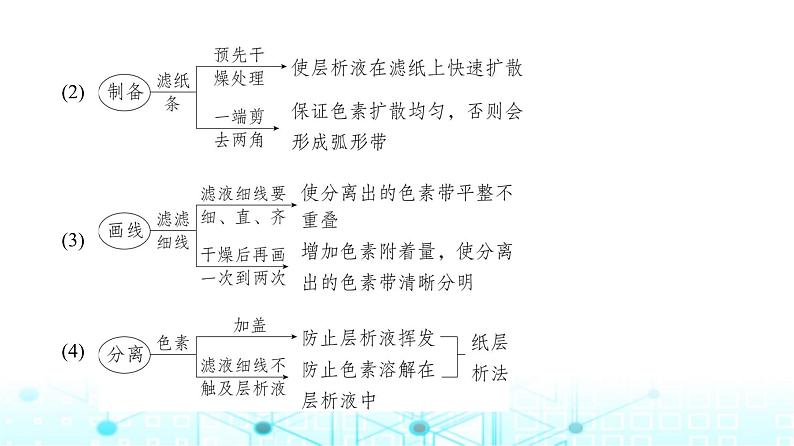 新高考生物总复习专题6光合作用教学课件第4页