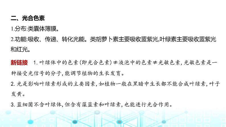 新高考生物总复习专题6光合作用教学课件第6页