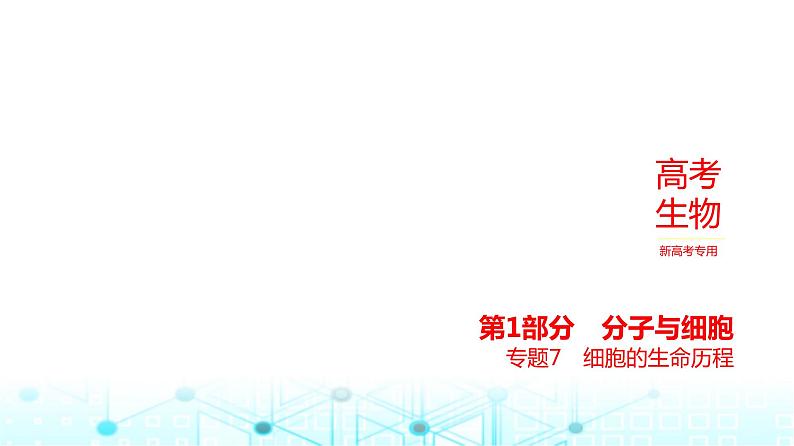 新高考生物总复习专题7细胞的生命历程教学课件01