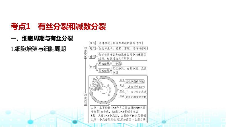 新高考生物总复习专题7细胞的生命历程教学课件02