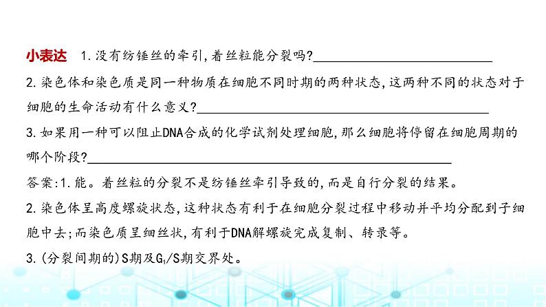 新高考生物总复习专题7细胞的生命历程教学课件06