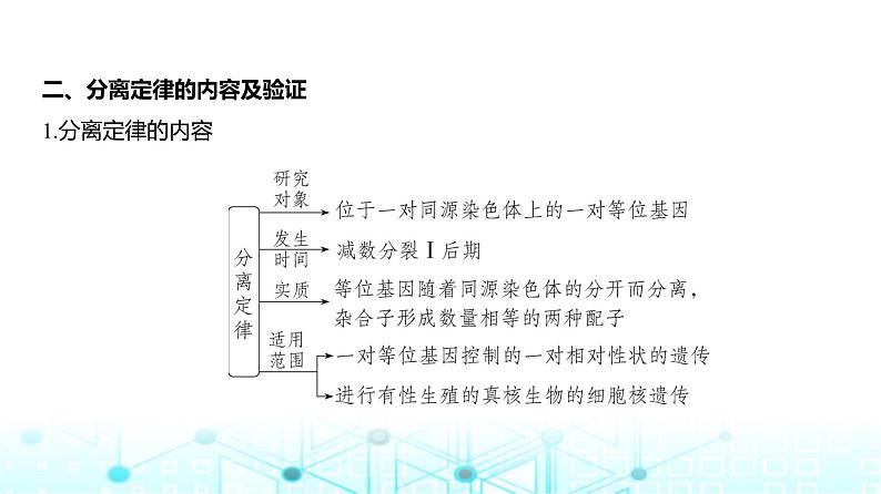 新高考生物总复习专题8分离定律和自由组合定律教学课件第6页