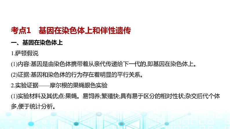 新高考生物总复习专题9伴性遗传与人类遗传病教学课件第2页