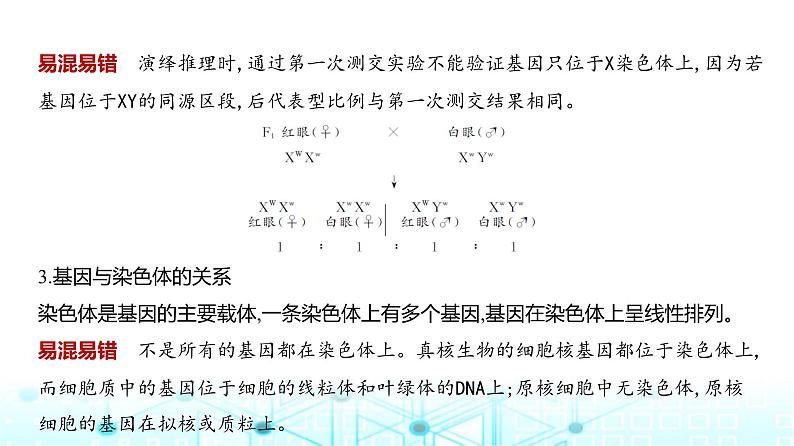 新高考生物总复习专题9伴性遗传与人类遗传病教学课件第5页