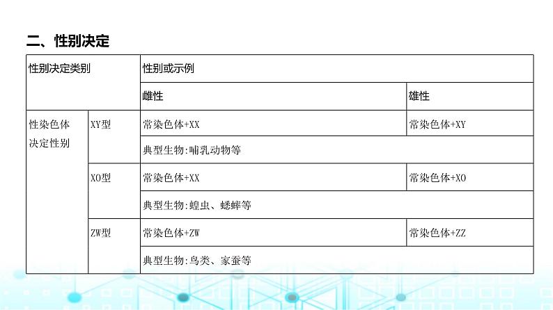 新高考生物总复习专题9伴性遗传与人类遗传病教学课件第6页