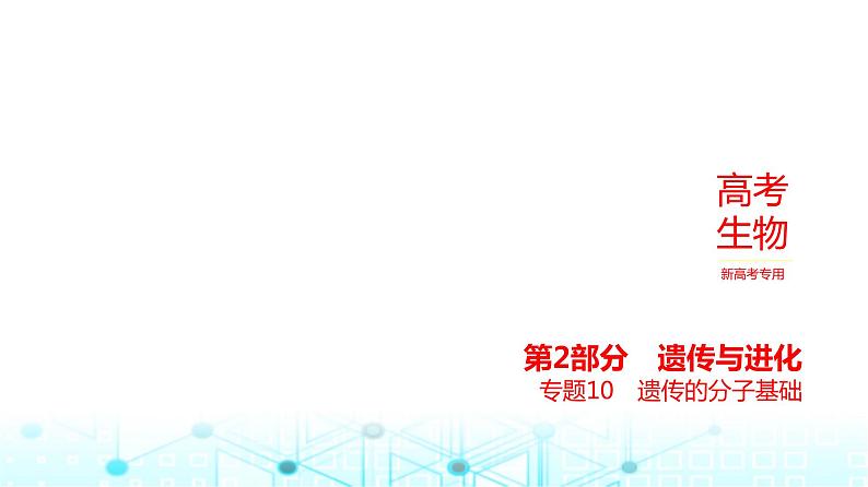 新高考生物总复习专题10遗传的分子基础教学课件01