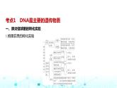 新高考生物总复习专题10遗传的分子基础教学课件