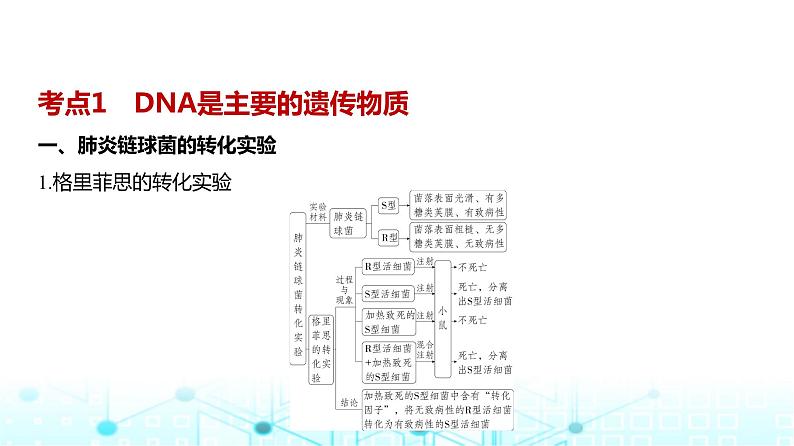 新高考生物总复习专题10遗传的分子基础教学课件02