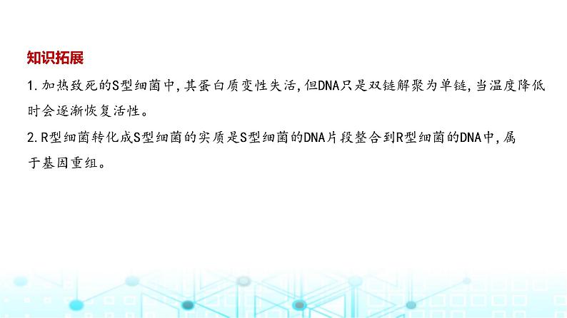 新高考生物总复习专题10遗传的分子基础教学课件03