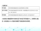 新高考生物总复习专题10遗传的分子基础教学课件