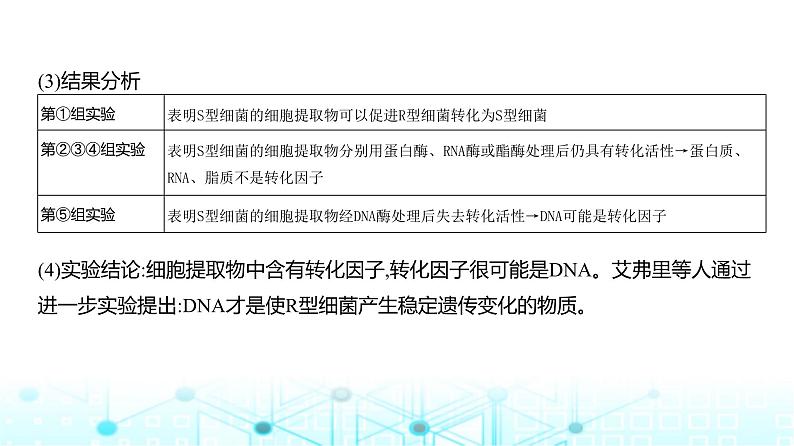 新高考生物总复习专题10遗传的分子基础教学课件05