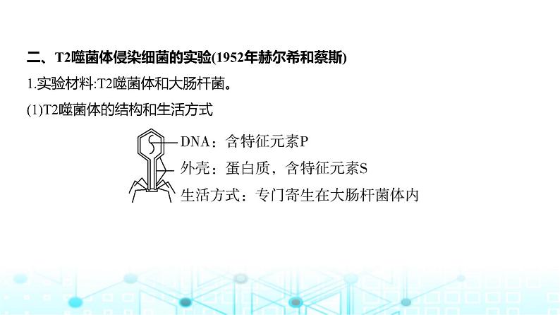 新高考生物总复习专题10遗传的分子基础教学课件06