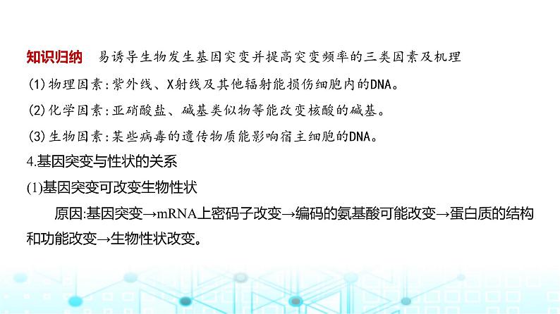 新高考生物总复习专题11生物的变异与进化教学课件第6页