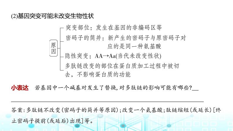 新高考生物总复习专题11生物的变异与进化教学课件第7页