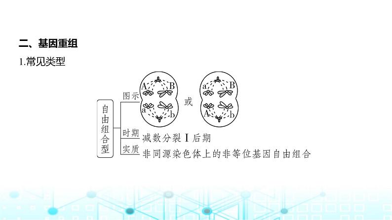 新高考生物总复习专题11生物的变异与进化教学课件第8页