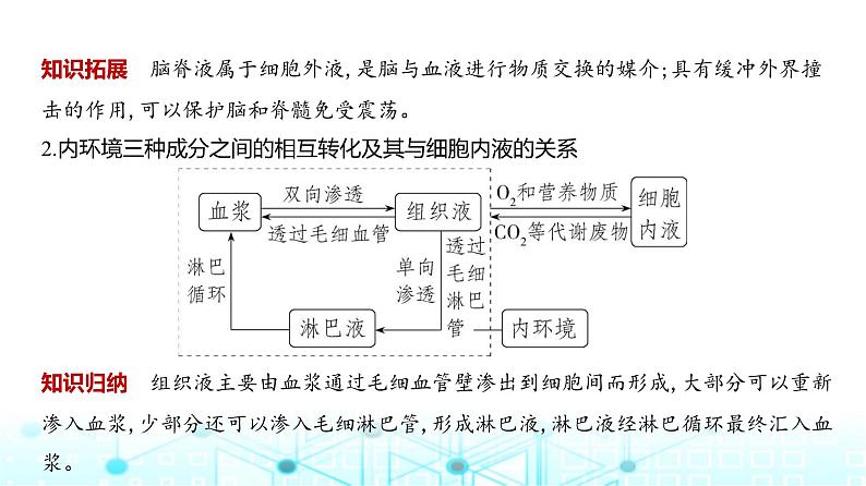 新高考生物总复习专题12人体的内环境与稳态教学课件第3页