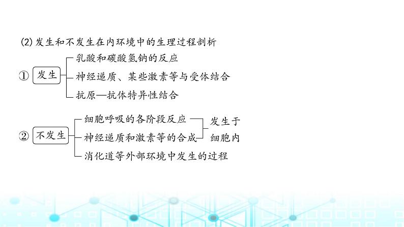 新高考生物总复习专题12人体的内环境与稳态教学课件第6页