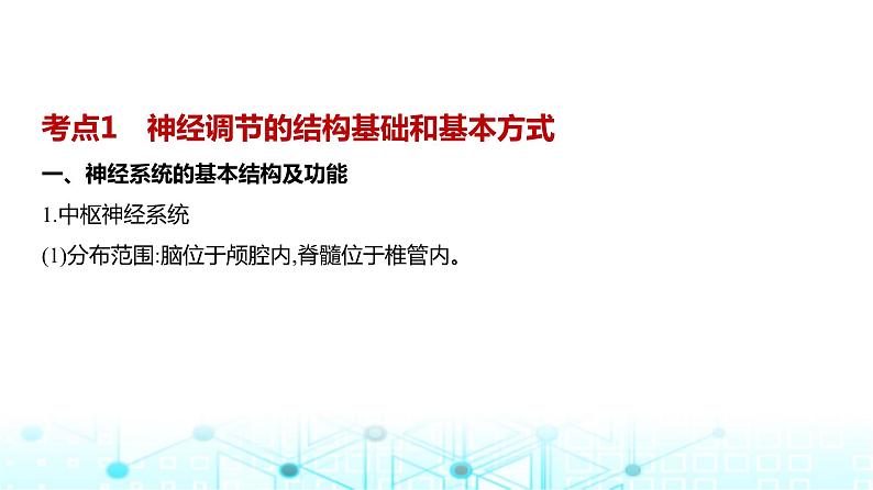 新高考生物总复习专题13神经调节教学课件第2页