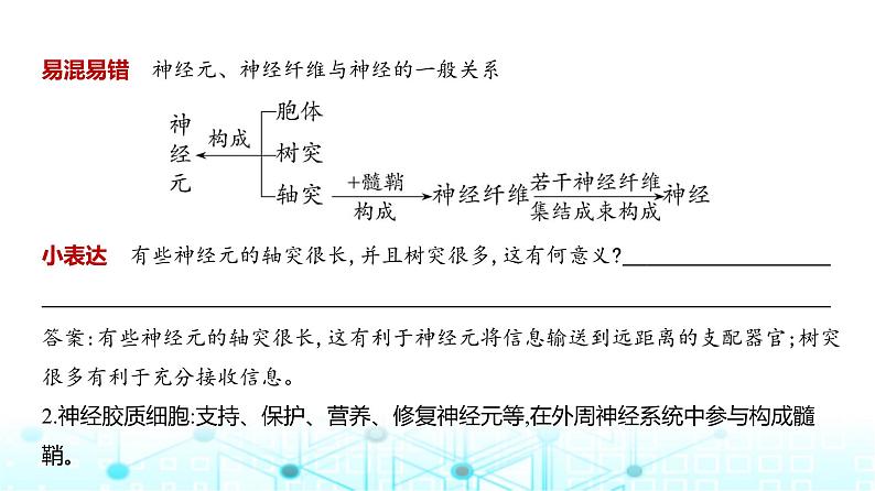 新高考生物总复习专题13神经调节教学课件第6页