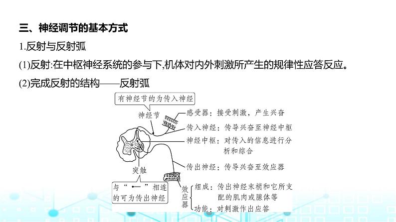 新高考生物总复习专题13神经调节教学课件第7页