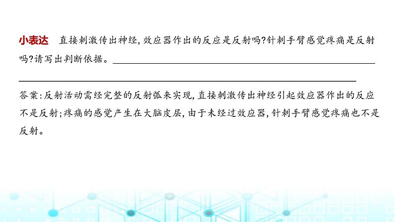 新高考生物总复习专题13神经调节教学课件第8页