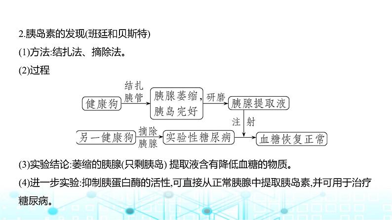 新高考生物总复习专题14体液调节教学课件第3页