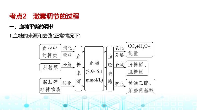 新高考生物总复习专题14体液调节教学课件第8页