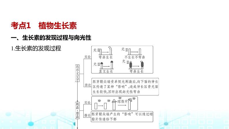 新高考生物总复习专题16植物生命活动的调节教学课件第2页