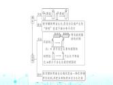 新高考生物总复习专题16植物生命活动的调节教学课件