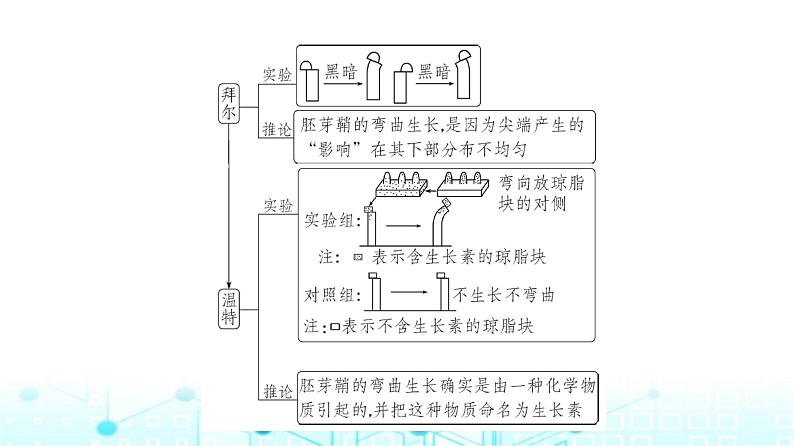 新高考生物总复习专题16植物生命活动的调节教学课件第3页