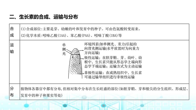 新高考生物总复习专题16植物生命活动的调节教学课件第5页