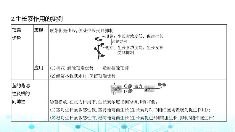 新高考生物总复习专题16植物生命活动的调节教学课件第7页